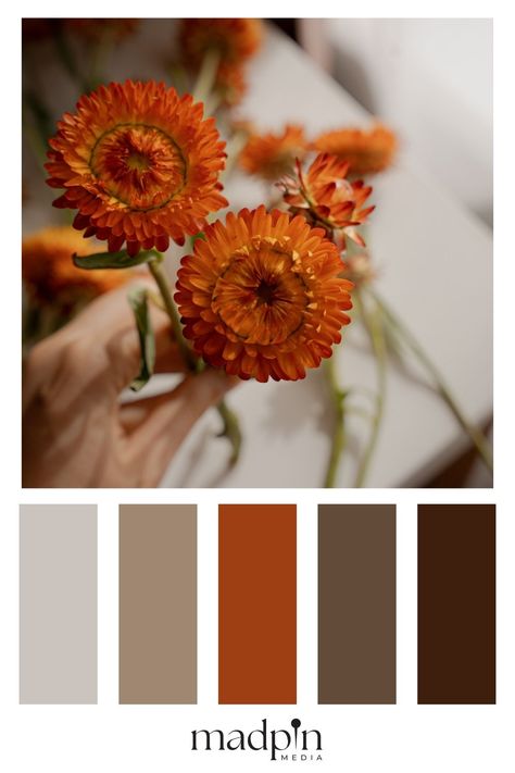 Rustic fall color palettes bring the charm of nature indoors with rich earthy tones like burnt sienna, chestnut, and olive green. These palettes blend cozy warmth with a natural vibe, ideal for seasonal home decor, cozy outfits, or autumnal projects. Perfectly balanced with muted, cool, and dark options, these rustic palettes embody autumn’s grounding feel, adding a welcoming touch to any room or look. Explore the organic side of fall with these versatile shades. Save for cozy inspiration! Nostalgic Autumn, Grounded Aesthetic, Color Palette Orange, Fall Color Pallet, Fall Color Palettes, Cozy Inspiration, Family Pictures Ideas, Seasonal Outfits, Fall Palette