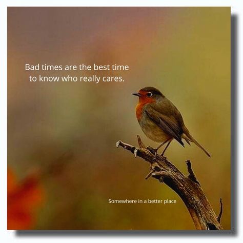 Bad times are the best time to know who really cares. Who Really Cares, Bad Time, Motivational Quotes For Life, Better Life Quotes, Bad Timing, Better Life, Words Quotes, Good Times, Motivational Quotes