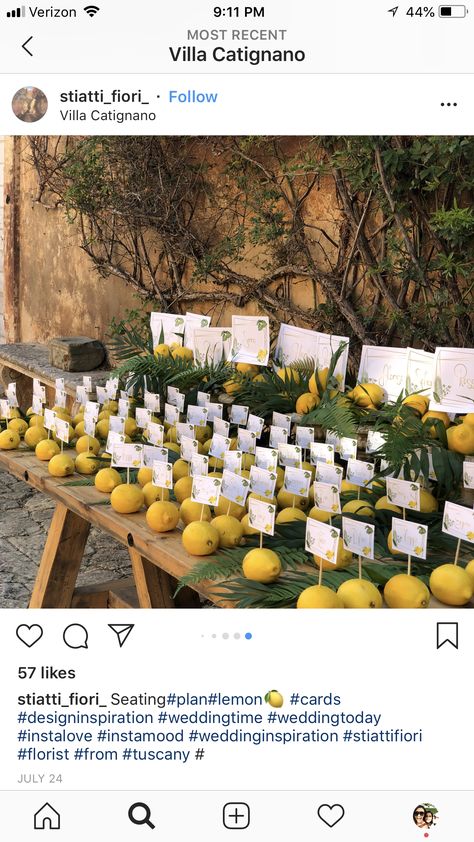 Table Numbers Wedding Italy, Rustic Italian Seating Cards, Lemoncello Seating Chart, Lemon Seating Chart, Lemon Seating Cards, Place Holders Wedding, Bridal Florals, Cape Wedding, Italian Theme