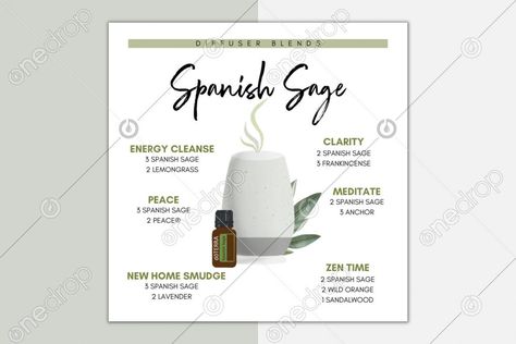 Spanish Sage Diffuser Blends (Illustrated)View more with the same theme here: Diffuser Blend IllustrationsView My Collection of Online Classes, Content Calendars & Premium Items HERECheck out popular downloads here:Valentine BingoGreen Cleaning BingoWellness Consult PresentationHealthy Start Class... #illustrated #spanish sage #spanish sage diffuser blends #spanish sage recipes #spanish sage diy #sage #how to use spanish sage #10 ways to use spanish sage #spanish sage benefits #heal #convention Doterra Spanish Sage, Doterra Spanish Sage Diffuser Blends, Spanish Sage Diffuser Blends, Spanish Sage Doterra, Sage Diffuser Blends, Sage Diy, Sage Benefits, Terra Essential Oils, Sage Recipes