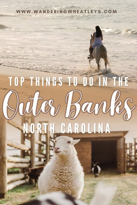 The 15 Best Things to do in the Outer Banks, North Carolina Northern Outer Banks, Outer Banks Beaches, Outer Banks North Carolina Vacation, North Carolina Outer Banks, Nags Head North Carolina, 2025 Travel, Roanoke Island, North Carolina Coast, Cape Hatteras National Seashore