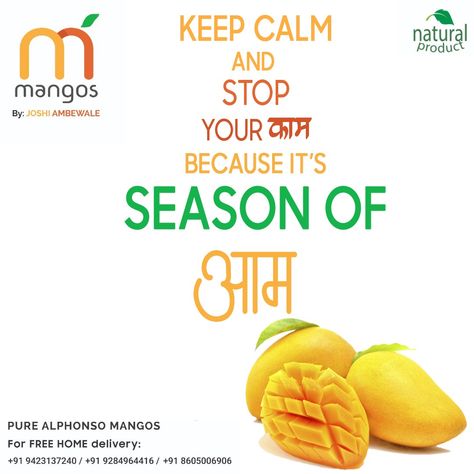 Keep Calm and stop you kaam because its a season "AAM".🥭😋☺️ Delicious Alphonso Mangoes at your doorstep. Call us at: 9423137240/9284964416/8605006906 for home delivery.  12 Mangoes = Rs 900/ 15 Mangoes = Rs 900/  *Naturally Ripped *Authentic & Delicious *From Mango Orchard to your home *Reasonable Rates *Exclusive Quality . #alphansomangoes #kingoffruits #hapus #naturalmangoes #mangoshake #alphansomangoshake #mangoinpune #mangoloverpune #mangomania #punemangolover #mango #mangos #mangoseason Mango Captions, Mango Advertisement, Mango Quotes, Mango Orchard, Box Packaging Ideas, Canva Background, Mango Color, Boy Newborn Photography, Baby Boy Newborn Photography