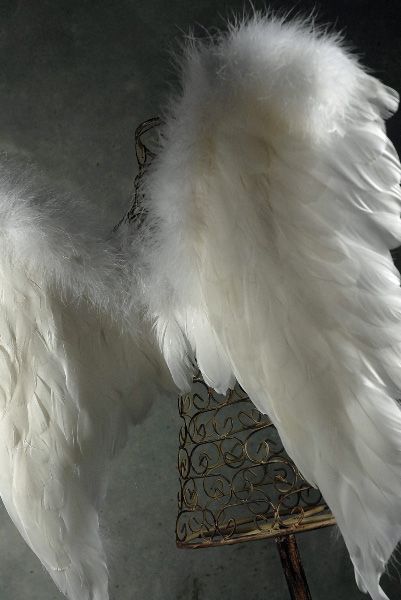 Angle Wings Aesthetic, Valentines Window Display, Angel Halloween Costumes, Angel Wings Costume, Paper Lantern Lights, Feather Angel Wings, Angel Costume, Angel Aesthetic, Angels Among Us