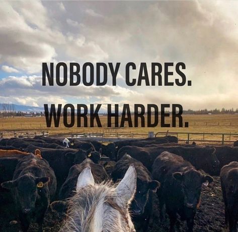 Rodeo Quotes, Western Aesthetic Wallpaper, Hardest Worker In The Room, Cow Quotes, Inspirational Horse Quotes, Western Quotes, Horse Riding Quotes, Cowboy Quotes, Country Backgrounds