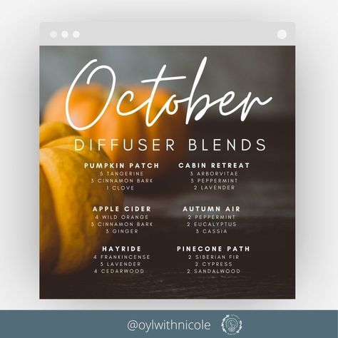 Nicole Nitti on Instagram: “Welcome Fall: the season of pumpkin spice and sweaters! 🧣🎃🍂⠀ ⠀ Did you know that this is the best season for detox and transition? Nature…” October Diffuser Blends, Diffuser Blends For Fall, Pumpkin Essential Oil, Orange Essential Oil Blends, Cassia Essential Oil, Fall Essential Oils, Fall Diffuser Blends, Doterra Diffuser Blends, Cabin Retreat