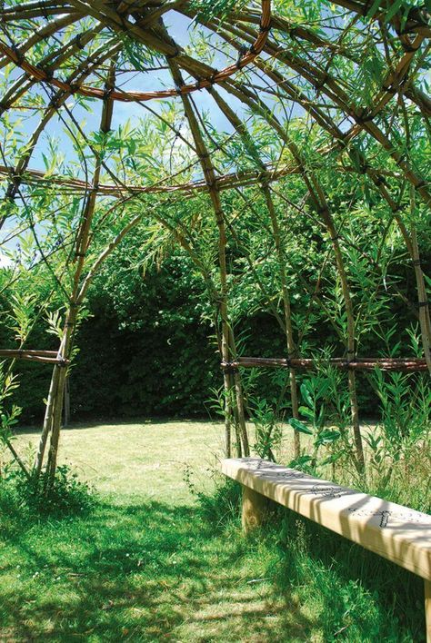 Hammock Inside, Willow Project, Willow Dome, Willow Fence, Living Willow, Willow Garden, Gardening Photography, Vertical Gardens, Pallets Garden