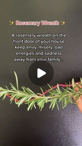 Eze Agbara Nwankwo on Instagram: "Rosemary wreath..  Congratulations 🎉🎉👏 to you  Have a wonderful weekend..  #energyhealer #manifest #manifestation #manifesting #negativeenergyremoval #negative #negativeenergy #negativity #postivethoughts #PositiveThinking #positivevibes #postivemindset #positivevibes #postoftheday #positivevibesonly #positivity #goodenergy #goodvibesonly #goodvibes #goodvibes #goodvibesalways #goodenergyiscontagious #goodenergies #mantra #mantrameditation #mantraoftheday #spellcasting #spellcaster #spellwork" Rosemary Wreath For Protection, Rosemary Wreath Diy, Rosemary Wreaths, Spiritual Herbs, Rosemary Wreath, Herb Garden In Kitchen, Wives Tales, Have A Wonderful Weekend, Kitchen Witchery