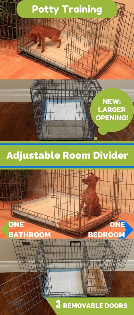 Potty Training a Puppy or Dog? We have a Fast & Easy solution! Over 50,000 dogs have been successfully potty trained with our indoor dog potty house, called the Potty Training Puppy Apartment®. Works as Fast as 3 Days! Great for small and large breeds, like Yorkies and Great Danes. We have 6 sizes available from XSmall up to XXLarge. Click on this link to watch our FREE world-famous potty training video: ModernPuppies.com Puppy Apartment, Potty Training Puppy Apartment, Indoor Dog Potty, Training A Puppy, Training Puppy, Dog Potty, Potty Training Puppy, Great Danes, Animal Shelters