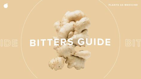 A Guide to Bitters: How to Use, Benefits, Flavors, and Recipes Bitters Benefits, Diy Bitters, Herbal Bitters, Witchy Knowledge, Medicinal Recipes, Digestive Bitters, Bitters Recipe, Heal Thyself, Better Digestion