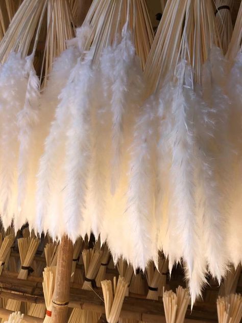 Drying pampas Pink Pampas, White Pampas, Pink Pampas Grass, Grass Bouquet, Pampas Grass Bouquet, Dried Pampas, Grass Wedding, Pampas Grass, Hot Sale