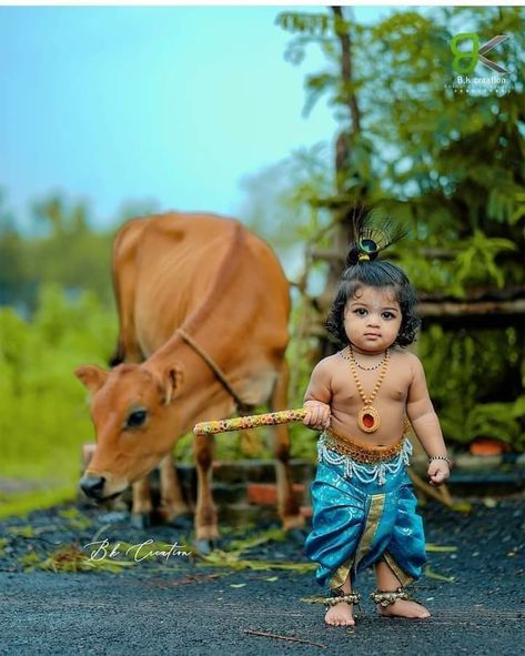 Janmashtami Photos, Boy Photo Shoot, Baby Photoshoot Boy, Cute Babies Photography, Baby Krishna, Lord Krishna Wallpapers, Radha Krishna Pictures