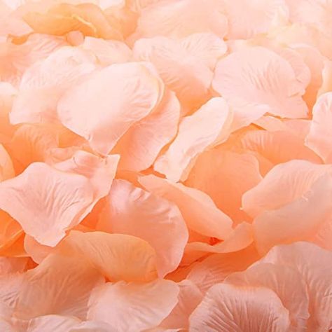 Amazon.com : LEFV 1000pcs Silk Rose Petals Artificial Flower Wedding Party Vase Decor Bridal Shower Favor Centerpieces Confetti Decorations (40 Colors for Choice)- Peach : Home & Kitchen Peach Wedding Decorations, Fake Rose Petals, Rose Petal Confetti, Flower Petals Wedding, Bridal Party Flowers, Rose Petals Wedding, Silk Rose Petals, Petal Confetti, Wedding Party Table