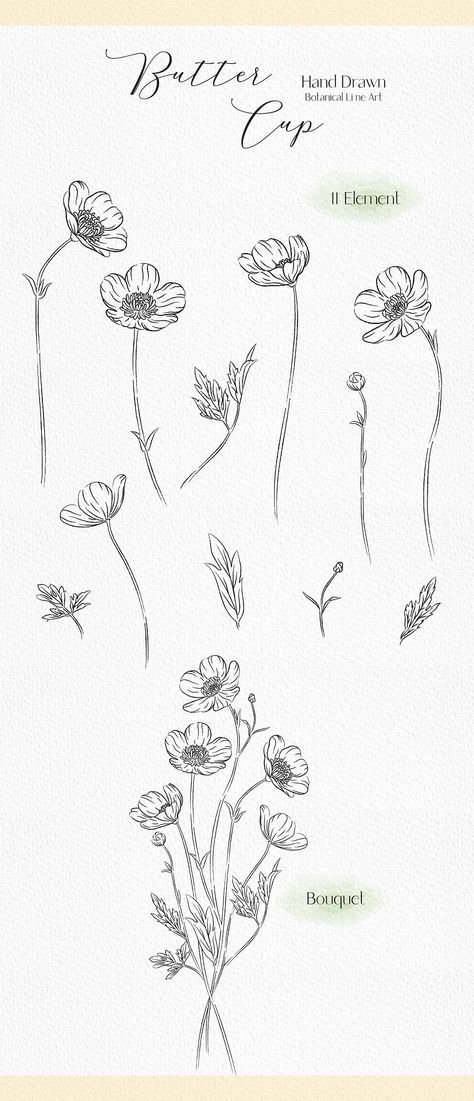 Meadow Buttercup Tattoo, Buttercups Flower Tattoo, Buttercups Flowers Drawing, Buttercup Flowers Tattoo, Individual Flower Drawing, Buttercup Drawing Flower, Buttercup Flower Tattoos, Small Buttercup Flower Tattoo, How To Draw Buttercup