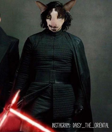 Daisy has undeniable Kylo Ren/Adam Driver similarities. Cat Makeup Halloween, Kylo Ren Adam Driver, Tattoo Cat, Adam Driver, Cat Makeup, Cats Funny, Kylo Ren, Cath Kidston, Cat Tattoo