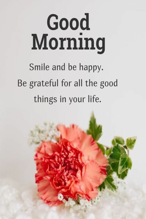 Smile and be happy Be grateful for all the good ❄️💗❄️ things in your life #Good_Morning Silly Sayings, Dussehra Images, Eating Quotes, Good Morning Msg, Sweetheart Quotes, Quotes Morning, Morning Sweetheart, Flowers Quotes, Good Morning Sweetheart Quotes