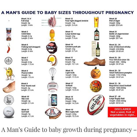 A Man’s guide to baby growth during pregnancy Baby Size By Week, Couple Tumblr, Baby Growth Chart, Baby Weeks, Pregnancy Apps, Baby Size Chart, Pregnancy Nutrition, Unborn Baby, Baby Growth