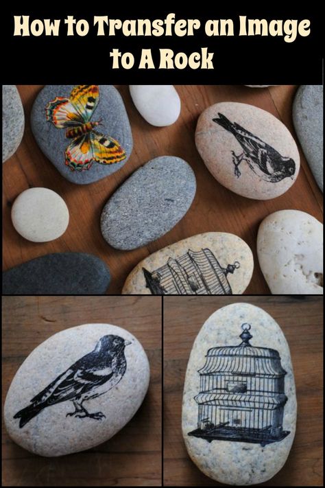 Give personalized gifts by learning how to transfer an image to a rock. Decoupage Stones, Stone Art Diy, Nail Simple, Wood Art Diy, Garden Rustic, Rock Gifts, Garden Beautiful, Hemma Diy, Painted Rocks Diy