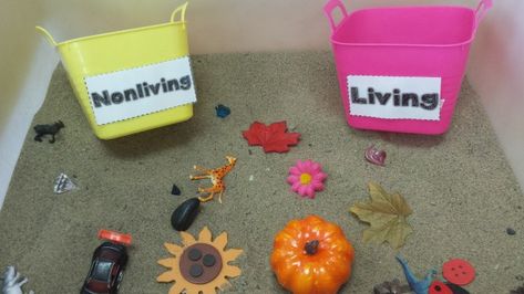 Living and Nonliving Things Living Things Activities Preschool, Non Living Things, Living And Nonliving Things, Characteristics Of Living Things, Activity For Kindergarten, Living And Nonliving, Baby Toys Diy, Kindergarten Centers, Science Topics