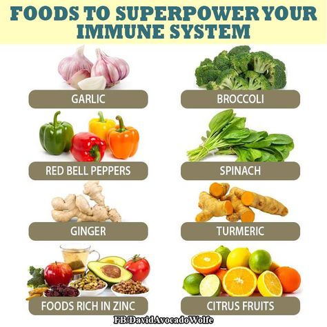 Organic Live Food on Twitter: "Immune System Boosters and Busters: https://t.co/hh2rmp1CUF https://t.co/9L1pjX87sW" / Twitter Zinc Rich Foods, Garlic Broccoli, Immune System Boosters, Ginger Turmeric, Citrus Fruit, Healthy Foods To Eat, Living Food, Healthy Tips, Superfoods