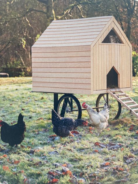 Chook Pen, Cute Chicken Coops, Chicken Coup, Chicken Tractor, Chicken Coop Designs, Garden Animals, Hen House, Cute Chickens, Chicken House