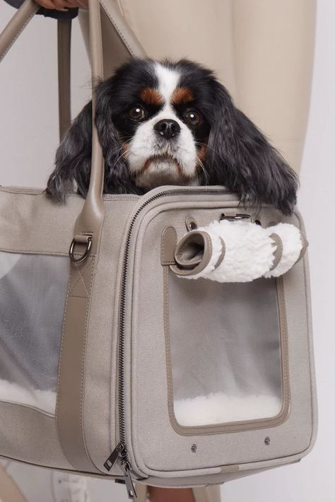 Luxury Pet Carrier, Dog Carrier Bag, Pet Carrier Bag, Pet Paradise, Travel Carrier, Pet Bag, Modern Pet, Cat Carrier, Global Citizen