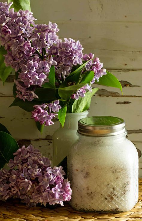 Lilac Sugar, Homemade Sweetened Condensed Milk, Brunch Desserts, Lilac Blossom, Copper Table, Best Shakes, Cooking Guide, Slow Food, Dark Places