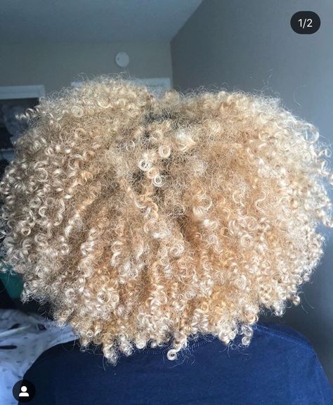 Blonde Afro, Blonde Natural Hair, Gorgeous Hairstyles, Blonde Curls, Dyed Natural Hair, Pelo Afro, Natural Hair Beauty, Hair Appointment, Hair Laid