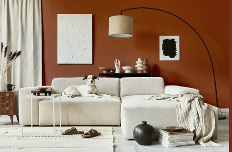 Sherwin Williams Rookwood Terra Cotta cozy living room Tan Paint Colors, Suede Paint, Beige Paint Colors, Warm Paint Colors, Home Paint Color, Living Room Plan, Dark Paint Colors, Choosing Paint, Perfect Paint Color