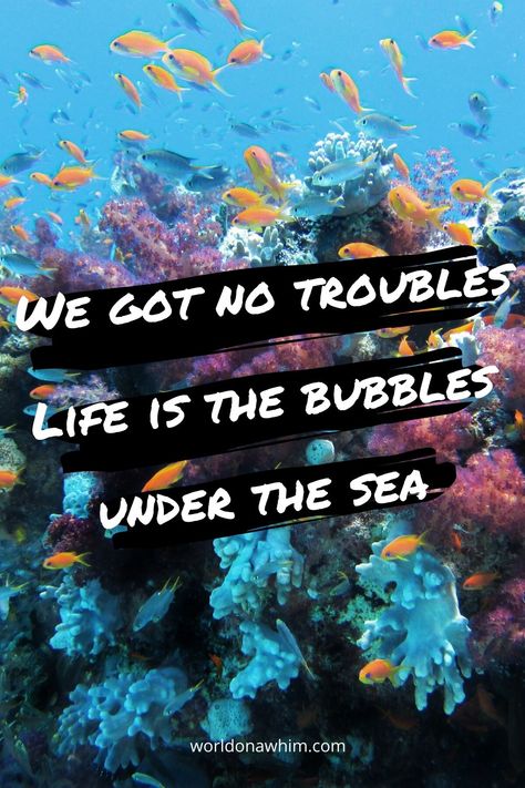 A classic under the sea quote or caption to add to your inspirational sea sayings list! From Disney's "The Little Mermaid," Sebastian sings about life underwater in this funny song! Underwater Quotes Sea, Under The Sea Quotes, Sea Captions For Instagram, Sea Sayings, Underwater Quotes, The Sea Quotes, Quotes About The Sea, Quotes About The Ocean, Sea Captions