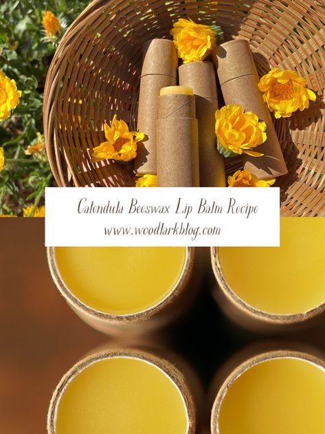 Calendula Lip Balm Recipe – Woodlark Blog – Woodlark Woodlark Blog, Beeswax Lip Balm Recipe, Calendula Infused Oil, Healing Lip Balm, Homemade Lip Balm Recipe, Lip Balm Recipe, Diy Lip Balm Recipes, Balm Recipe, Infused Oil