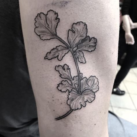 Cilantro Tattoo, Gay Tattoo, Chicago Tattoo, Botanical Tattoo, Line Work Tattoo, Tattoo Feminina, Friend Tattoos, Old School Tattoo, Tattoo Inspo