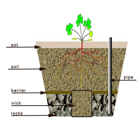 How to Make a Self Watering Container: 6 Steps Diy Self Watering Planter, Self Watering Containers, Self Watering Plants, Self Watering Pots, Plant Growing, Self Watering Planter, Garden Containers, Hydroponic Gardening, Self Watering