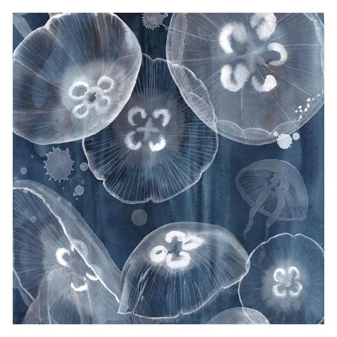 East Urban Home Jellyfish II 1.92m x 1.92m Embossed Matt Peel & Stick Wall Mural | Wayfair.co.uk Moon Jellyfish, Composite Material, Wall Cladding, Shower Wall, الرسومات اللطيفة, Jellyfish, Sea Creatures, Pretty Art, Dark Backgrounds