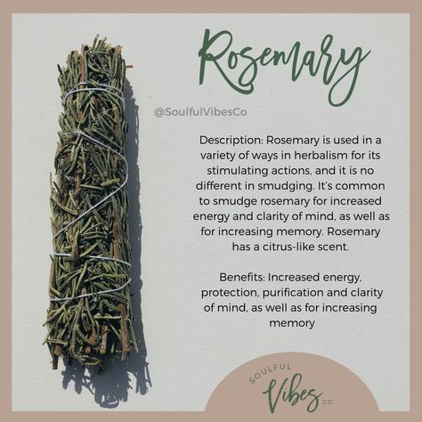 Rosemary Smudge Stick Benefits, Herbs For Success Witchcraft, Rosemary For Memory, Spells For Energy And Motivation, Things To Do With Rosemary, Herbs For Motivation, Herbs For Clarity, Herbs For Success, Rosemary Cleansing