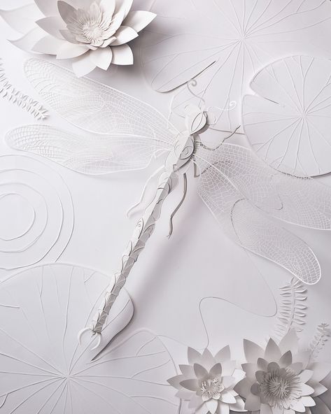 Behance :: Para ti Paper Dragonflies, Set Design Photography, Valentine Cards Handmade, Cool Paper Crafts, Beauty Products Photography, Paper Cut Art, 3d Paper, Paper Sculpture, Sheet Of Paper