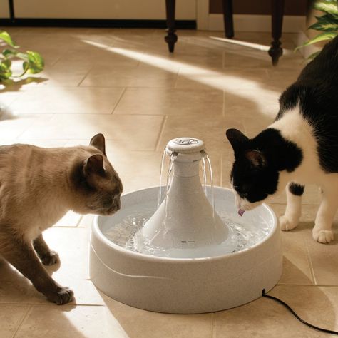 Pet Fountain, Cat Fountain, Cat Water Fountain, Pet Water Fountain, Drinking Fountain, Cat Drinking, Water Dog, Cat Supplies, Cat Furniture