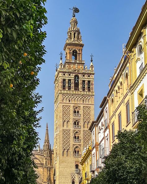 📍SEVILLA, SPAIN 🇪🇸 💃🏻🍊 Some of my favourite Seville attractions and photo spots. Have you been to Sevilla or is it still on your travel wish list? 1. Panoramic views of Seville from La Giralda 2. Seville Cathedral (inside and out) 3. Plaza de España 4. The pretty streets of Santa Cruz 5. The Moorish architecture and 6. gardens of Alcázar of Seville 7. Metropol Parasol 8. Guadalquivir River 9. Torre del Oro 10. Triana neighbourhood And so many more! ✔️Save for your Seville travel planning... Cathedral Inside, Medieval Spain, Pretty Streets, Metropol Parasol, Seville Cathedral, Alcazar Seville, Moorish Architecture, Sevilla Spain, Travel Planning