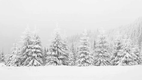 Snow Desktop Wallpaper Aesthetic, Snowy Laptop Wallpaper, Christmas Screen Savers Aesthetic, Winter Notion Cover, Winter Cover Photos Facebook, Laptop Wallpaper Christmas Aesthetic, Snowy Aesthetic Wallpaper, Winter Macbook Wallpaper, Ipad Wallpaper Winter