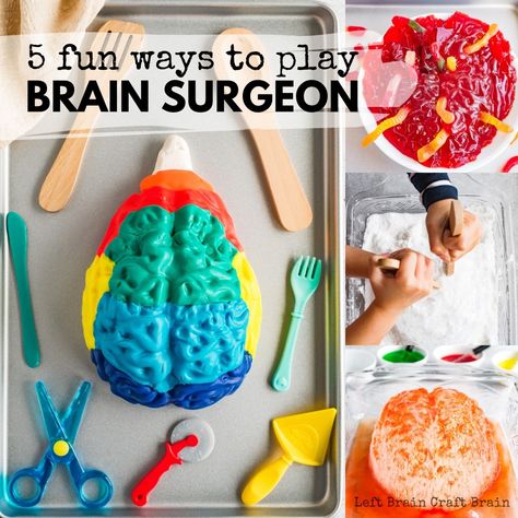 Play Brain Surgeon with a brain jello mold! Five messy and spooky ways to learn about the parts of the brain. Slime, Ice, erupting brains... Perfect for Halloween or Mad Scientist parties! Child Life Specialist Activities, Brain Jello Mold, Brain Jello, Doctor Craft, Human Body Unit Study, Human Body Projects, Parts Of The Brain, Brain Models, Body Preschool