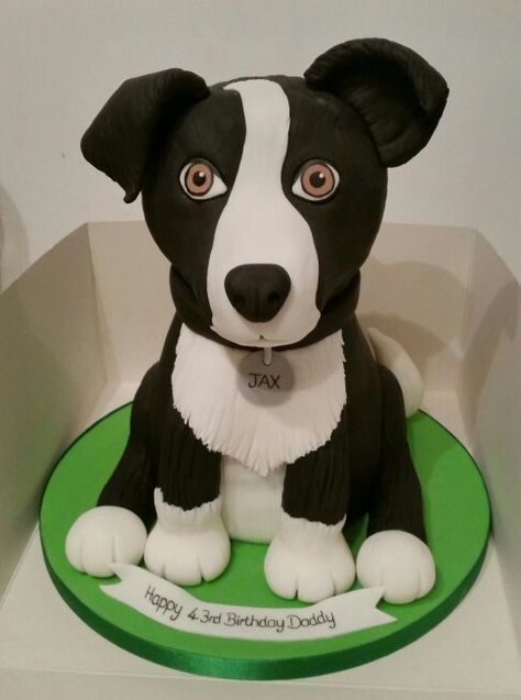 Border Collie Cake, Dog Birthday Cake, Dog Cakes, Beautiful Birthday Cakes, Beautiful Birthday, Collie Dog, Dog Birthday, Homemade Cakes, Black Dog