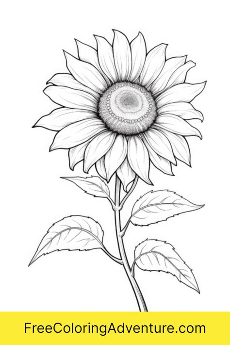 Discover the joy of coloring with our Free Printable Blossom Your Creativity - Sunflower Coloring Page for adults and children alike! This beautiful, easy-to-color design is a perfect way to relax, de-stress, and unwind. Download now and let your creativity blossom! Sunflower Coloring Page, Sunflower Coloring, Sunflower Coloring Pages, Coloring Page For Adults, Flower Printable, Ways To Relax, Printable Coloring, Printable Coloring Pages, Adult Coloring Pages