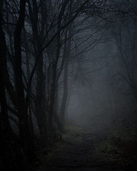 Aww to get lost in the hauntingly beautiful forest  who will get lost with me? . . . . . . .  #jianawesselmusic #jianawessel #goth #gothic #gothlife #occult #witches #gothgoth #gothstyle #dark #witch #instagoth #witchlife #gothicart #gothicmusic #alt #ethereal #darkbeauty #haunting_imagery  #hauntinglybeautiful #darknessisbeautiful #darkness #alternative #jianawesselmusic #jianawessel Misty Photography, Dark Trees, Dark Naturalism, Dark Forest Aesthetic, Dark Woods, Dark Nature, Haunted Forest, Foggy Forest, Dark Paradise