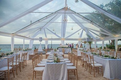 Clear Top Tent Wedding, Jamaica Wedding Venues, Clear Top Tent, Tent Wedding Reception, Wedding Tents, Jamaica Wedding, Caribbean Wedding, July Wedding, Wedding Tent