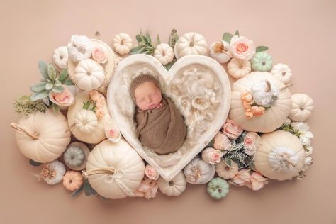 Tremont Newborn Photographer | Introducing Cooper Autumn Family Photography, Newborn Digital Backdrop, Heart Bowl, Lace Background, Diy Xmas Gifts, Photoshoot Props, Vintage Carnival, Photoshoot Themes, Photography Contests