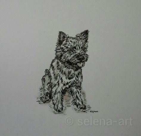 Inkt tekening Cairn Terrier www.selena-art.nl Carin Terriers, Selena Art, Cairn Terrier Mix, Cairn Terriers, Cairn Terrier, Terrier Mix, Cairns, Portrait Drawing, Yorkie