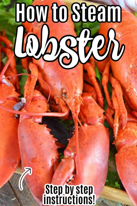 How To Cook Live Lobster, Whole Lobster Recipes How To Cook, Baked Brisket, Cook Lobster, Steamed Lobster, Shrimp Boil Recipe, Turkey In Roaster, Steamed Clams, Live Lobster