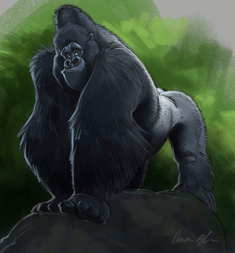 Gorilla Character Design, Gorilla Drawing, Aaron Blaise, Gorilla Tattoo, Spiderman Art Sketch, Great Ape, Watch Wallpaper, Bear Art, Spiderman Art