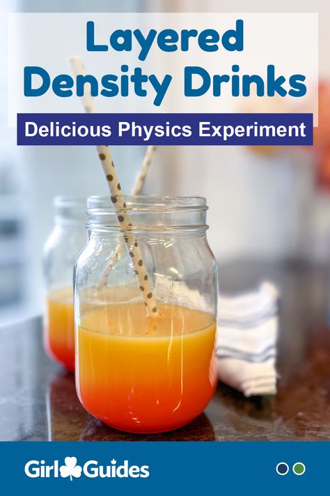 Make your own drinks! Kids will experiment with different liquids to learn about density and create a tasty drink. Science Party Food, Density Lab, Mad Scientist Party, Scientist Party, Physics Experiments, Kid Science, Science Birthday, Girl Guide, Science Party