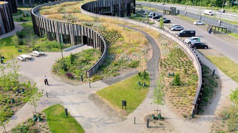 Landscape Integrated Architecture, Playground On Hill, Open Space Design Landscape, Sloped Landscape Design, Retreat Architecture Design, Roots Architecture Concept, Library Landscape Design, Architecture On Hill, Building On A Slope Architecture