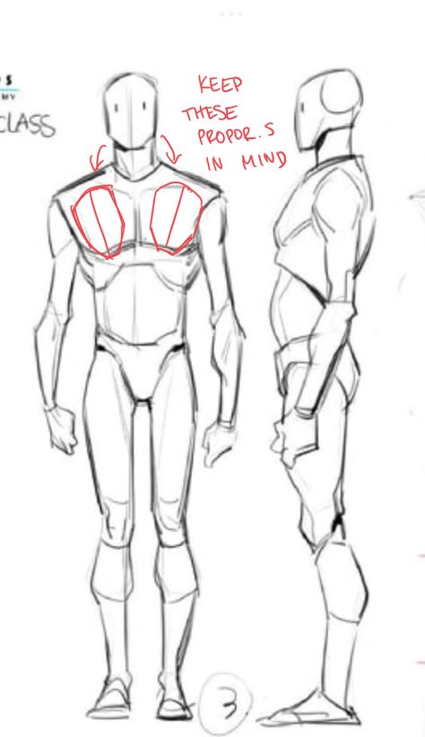 Male Body Front View Drawing, Man Anatomy Reference Drawing, Anatomy Tb Choi, How To Draw Males Anatomy, Male Character Body Reference, Men Drawing Reference Anatomy, Male Human Figure Drawing, Masculine Body Reference Drawing, Male Figure Reference Drawing